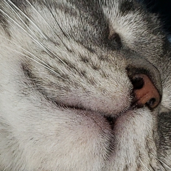 Second coffee needed! - Picture 3 of 5